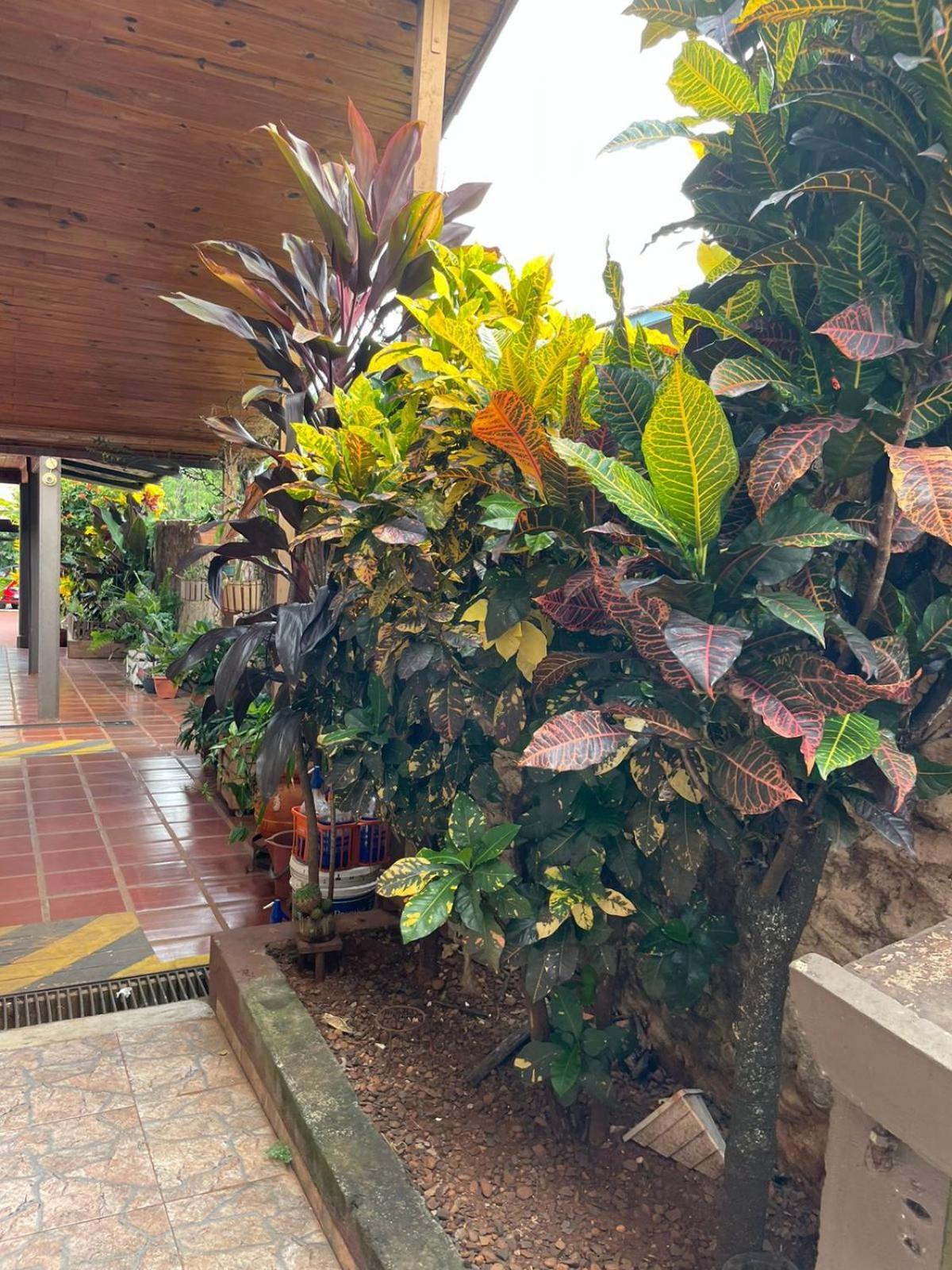 Residencial Arcoiris Hotel Puerto Iguazu Bagian luar foto